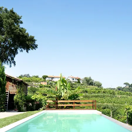 Casa Fontelas * قلعة بايفا