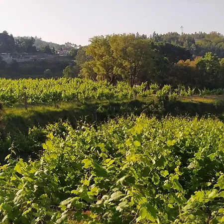 Casa Fontelas مزرعة للإقامة قلعة بايفا