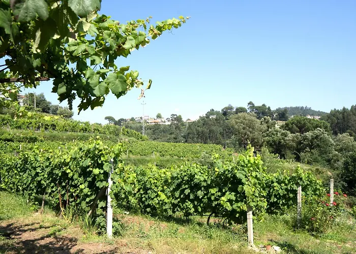 Casa Fontelas 农家乐