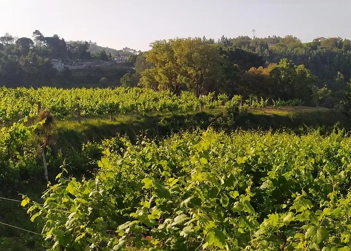 Casa Fontelas Farma Castelo de Paiva