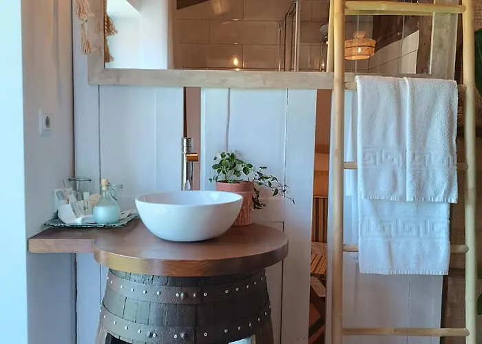 Casa Fontelas 农家乐 *